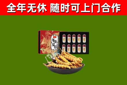 恩平烟酒回收冬虫夏草礼盒.jpg