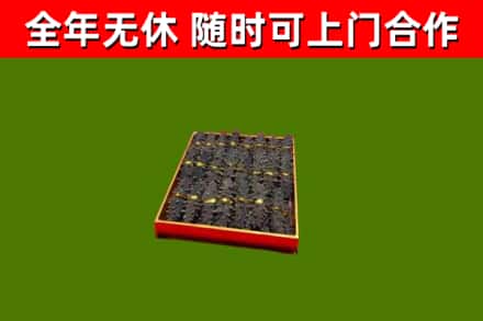 恩平回收海参